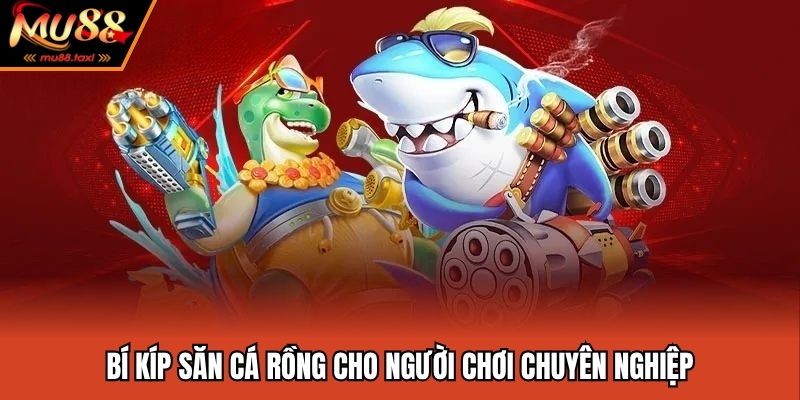 Bí Kíp Săn Cá Rồng Mỗi Ngày Cực Dễ Tại Nhà Cái MU88 4 Bí kíp săn cá rồng đối với người chơi thâm niên