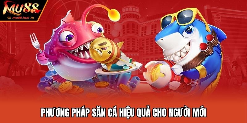 Bí Kíp Săn Cá Rồng Mỗi Ngày Cực Dễ Tại Nhà Cái MU88 3 Phương pháp săn ngư đơn giản cho tân binh
