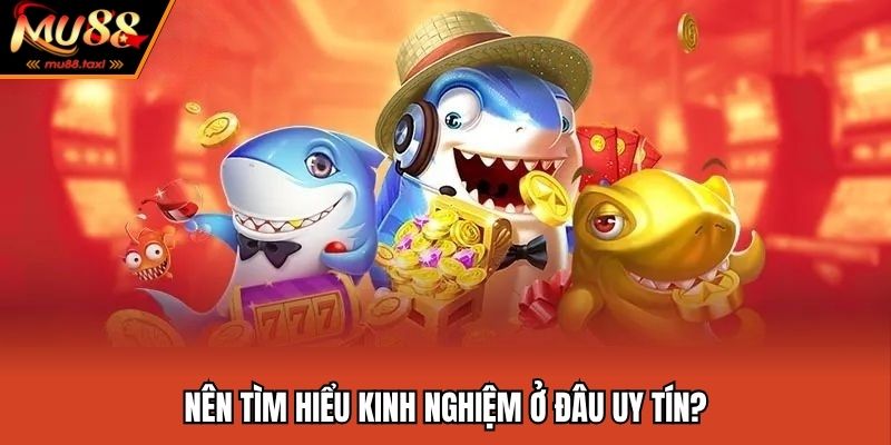 Bí Kíp Săn Cá Rồng Mỗi Ngày Cực Dễ Tại Nhà Cái MU88 2 Những lý do bạn nên theo dõi kinh nghiệm nơi uy tín