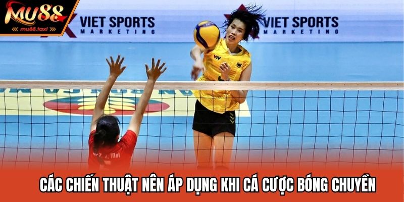 Cá Cược Bóng Chuyền - Top 3 Bí Quyết Săn Thưởng Cực Khủng 4 Các chiến thuật nên áp dụng khi cá cược bóng chuyền