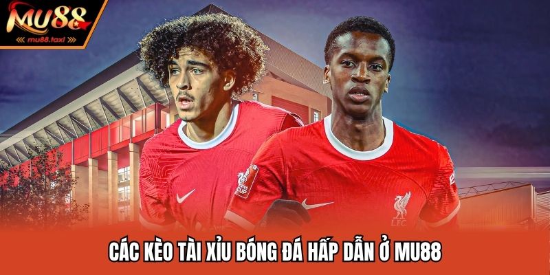 Kèo Tài Xỉu Bóng Đá - Game Cược Của Những Con Số May Mắn 3 Các kèo tài xỉu bóng đá hấp dẫn ở MU88