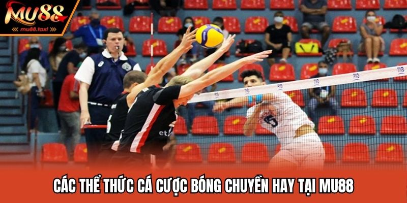 Cá Cược Bóng Chuyền - Top 3 Bí Quyết Săn Thưởng Cực Khủng 2 Các thể thức cá cược bóng chuyền hay tại MU88