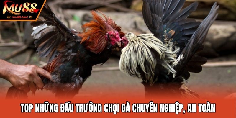 Đấu Trường Chọi Gà - Tổng Hợp Những Cái Tên Khét Tiếng 2025 3 Những nền tảng đang hợp tác cùng nhà cái uy tín
