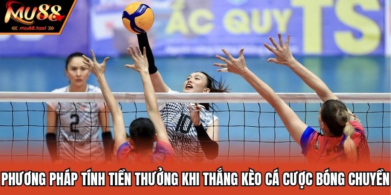 Cá Cược Bóng Chuyền - Top 3 Bí Quyết Săn Thưởng Cực Khủng 3 Phương pháp tính tiền thưởng khi thắng kèo cá cược bóng chuyền