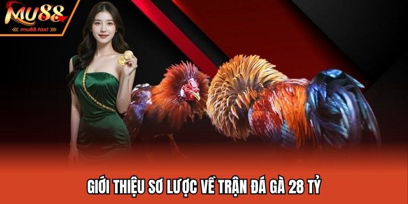 Trận Đá Gà 28 Tỷ - Màn Tranh Tài Huyền Thoại Của Giới Đá Gà 2 Giới thiệu sơ lược về trận đá gà 28 tỷ