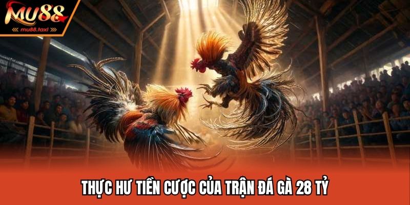 Trận Đá Gà 28 Tỷ - Màn Tranh Tài Huyền Thoại Của Giới Đá Gà 3 Thực hư tiền cược của trận đá gà 28 tỷ
